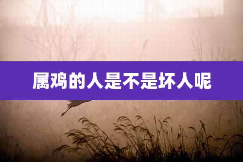 属鸡的人是不是坏人呢