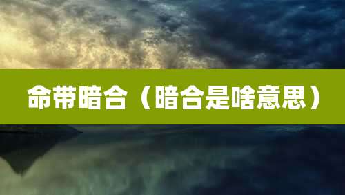命带暗合（暗合是啥意思）