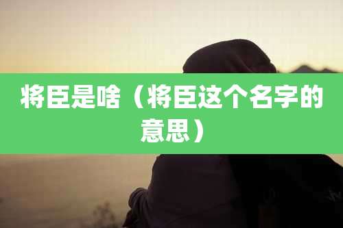 将臣是啥(将臣这个名字的意思)