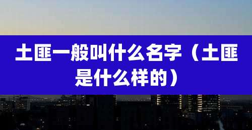 土匪一般叫什么名字（土匪是什么样的）