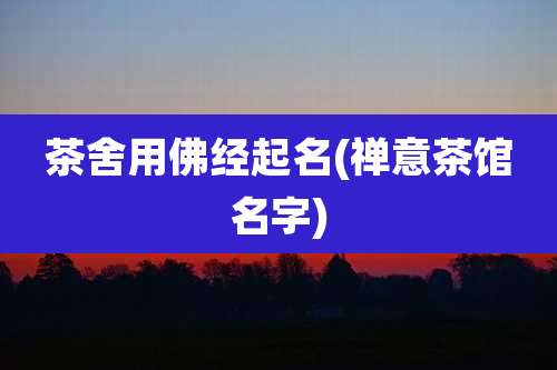 茶舍用佛经起名(禅意茶馆名字)