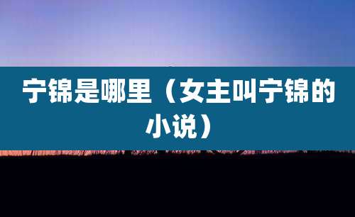 宁锦是哪里（女主叫宁锦的小说）