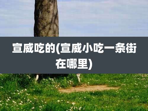 宣威吃的(宣威小吃一条街在哪里)