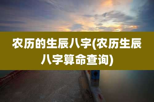 农历的生辰八字(农历生辰八字算命查询)