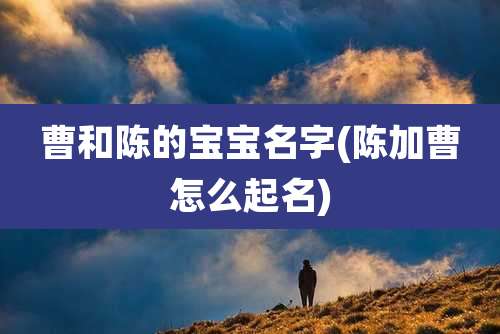 曹和陈的宝宝名字(陈加曹怎么起名)