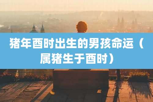 猪年酉时出生的男孩命运（属猪生于酉时）