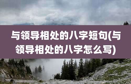 与领导相处的八字短句(与领导相处的八字怎么写)