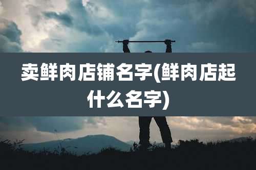 卖鲜肉店铺名字(鲜肉店起什么名字)