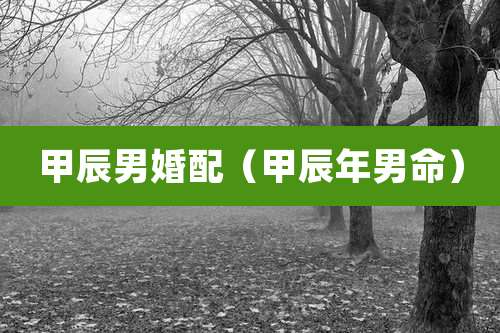 甲辰男婚配（甲辰年男命）
