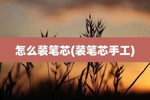 怎么装笔芯(装笔芯手工)