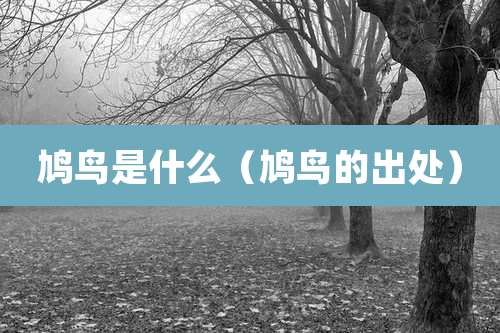 鸠鸟是什么（鸠鸟的出处）