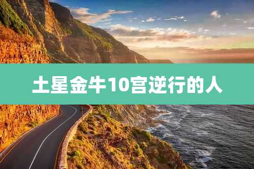 土星金牛10宫逆行的人