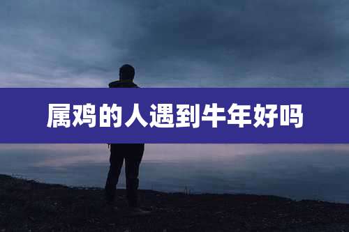 属鸡的人遇到牛年好吗