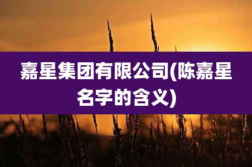 嘉星集团有限公司(陈嘉星名字的含义)