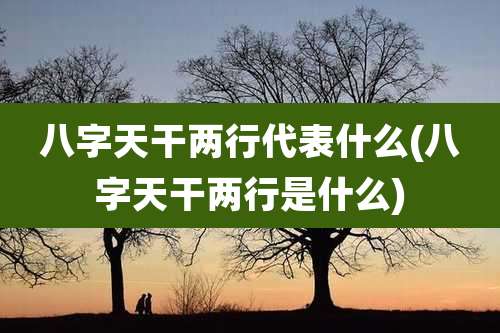 八字天干两行代表什么(八字天干两行是什么)