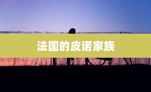 法国的皮诺家族