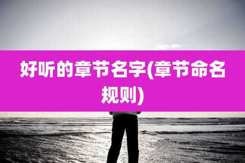 好听的章节名字(章节命名规则)