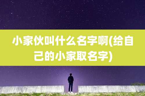 小家伙叫什么名字啊(给自己的小家取名字)