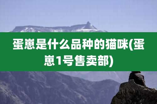 蛋崽是什么品种的猫咪(蛋崽1号售卖部)