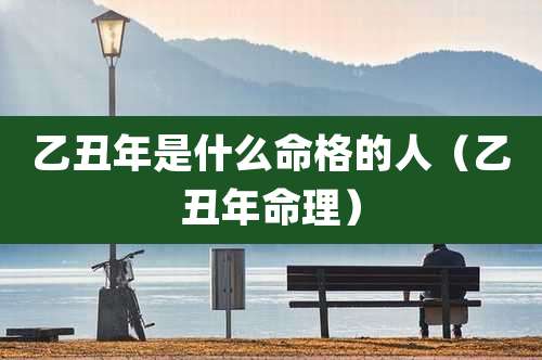 乙丑年是什么命格的人（乙丑年命理）