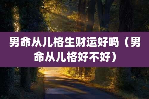 男命从儿格生财运好吗（男命从儿格好不好）
