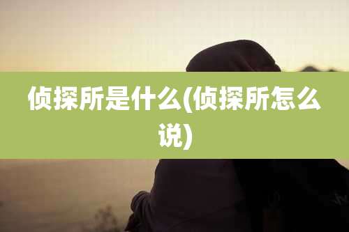 侦探所是什么(侦探所怎么说)