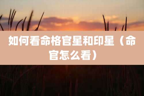 如何看命格官星和印星（命官怎么看）