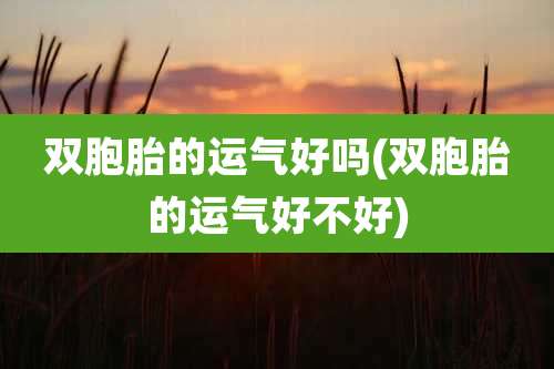 双胞胎的运气好吗(双胞胎的运气好不好)