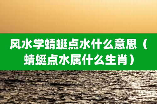 风水学蜻蜓点水什么意思（蜻蜓点水属什么生肖）