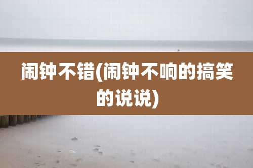 闹钟不错(闹钟不响的搞笑的说说)