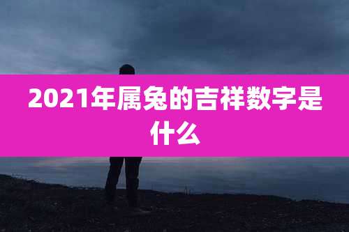 2021年属兔的吉祥数字是什么