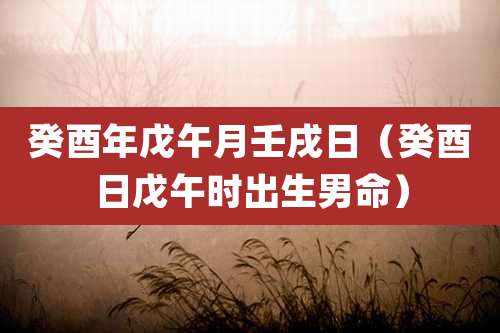 癸酉年戊午月壬戌日（癸酉日戊午时出生男命）