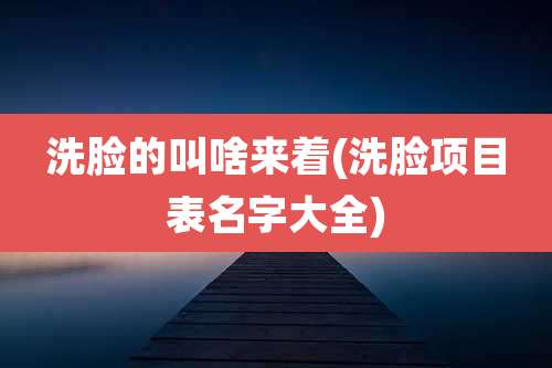 洗脸的叫啥来着(洗脸项目表名字大全)