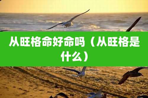 从旺格命好命吗（从旺格是什么）