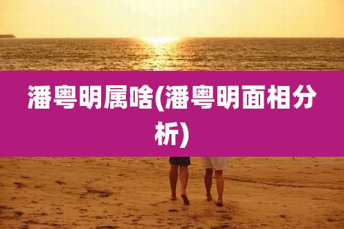 潘粤明属啥(潘粤明面相分析)