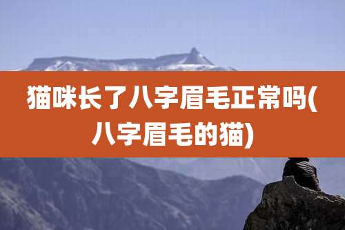 猫咪长了八字眉毛正常吗(八字眉毛的猫)