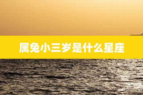 属兔小三岁是什么星座