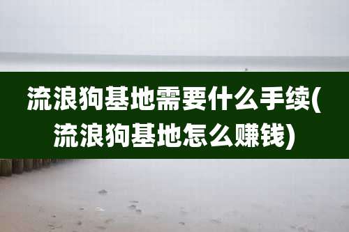 流浪狗基地需要什么手续(流浪狗基地怎么赚钱)