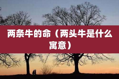 两条牛的命（两头牛是什么寓意）