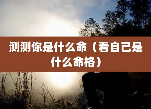 测测你是什么命（看自己是什么命格）
