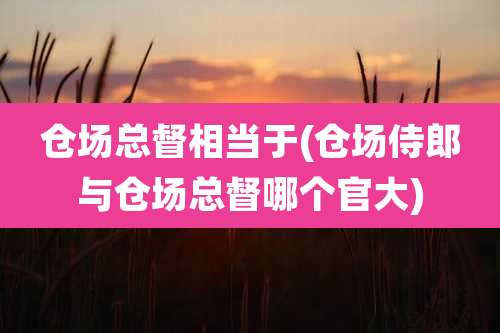 仓场总督相当于(仓场侍郎与仓场总督哪个官大)