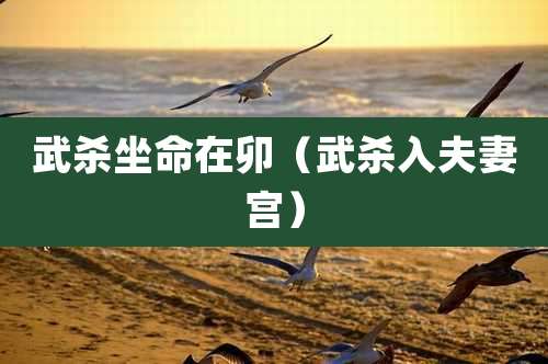 武杀坐命在卯（武杀入夫妻宫）