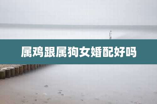 属鸡跟属狗女婚配好吗