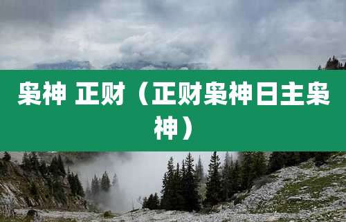枭神 正财（正财枭神日主枭神）
