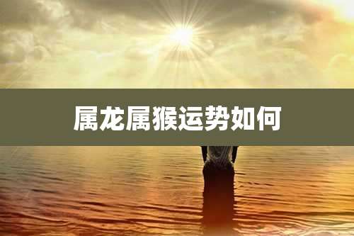 属龙属猴运势如何