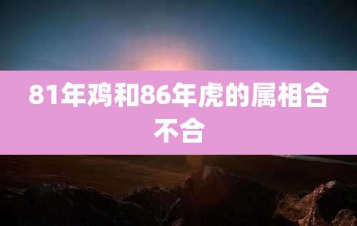 81年鸡和86年虎的属相合不合