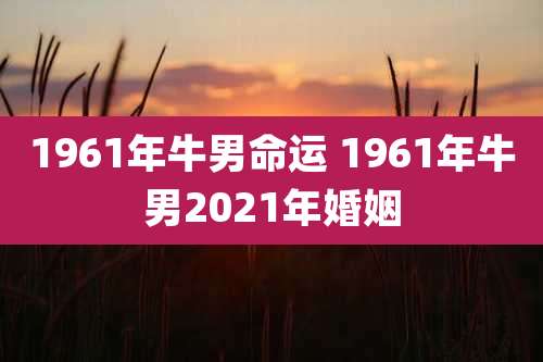1961年牛男命运 1961年牛男2021年婚姻