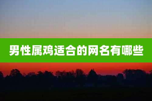 男性属鸡适合的网名有哪些