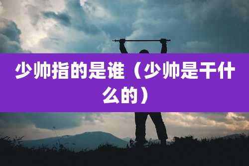 少帅指的是谁（少帅是干什么的）