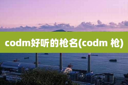 codm好听的枪名(codm 枪)